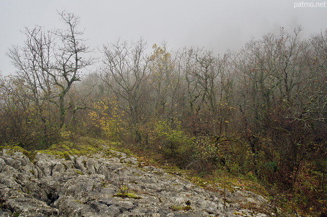 Photo du lapiaz de Chaumont en Haute Savoie dans une ambiance d'automne