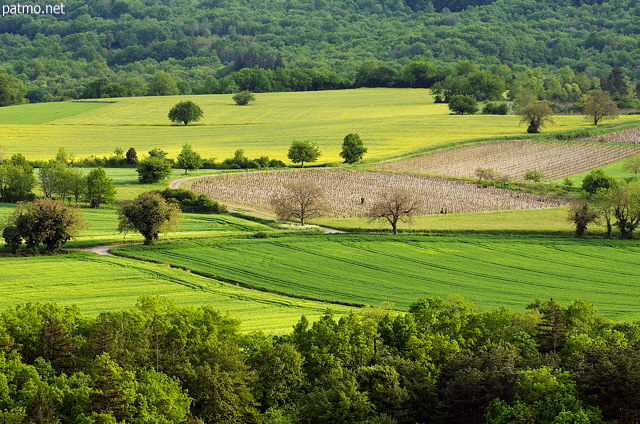 Photo of a springtime rural landscape in Valromey countryside