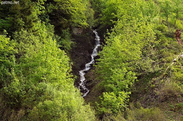 Image of green trees  and a little stream in Aravis mountains