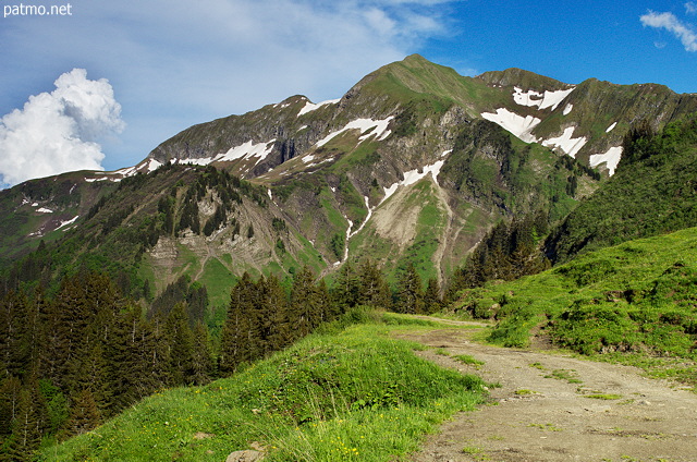 Image du Massif des Aravis et de la Pointe d'Almet depuis les alpages d'Auffrand