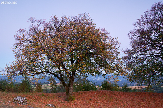 Image des alentours du chteau de Chaumont en Haute Savoie sous la lumire du crpuscule