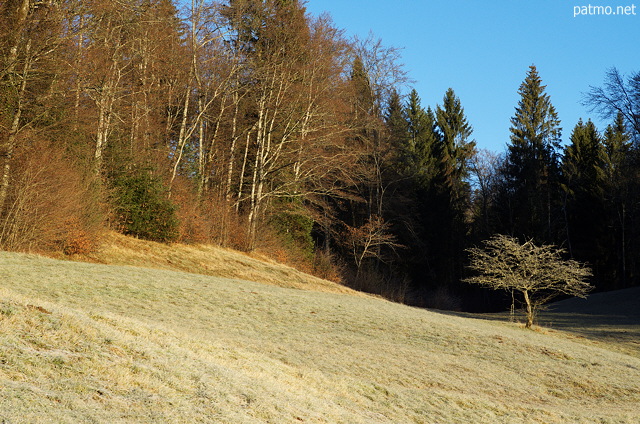 Image d'un paysage aux couleurs d'automne sur les bords du lac Gnin