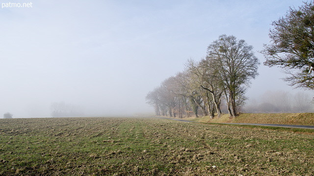 Paysage du plateau des Daines dans le brume d'un matin d'hiver