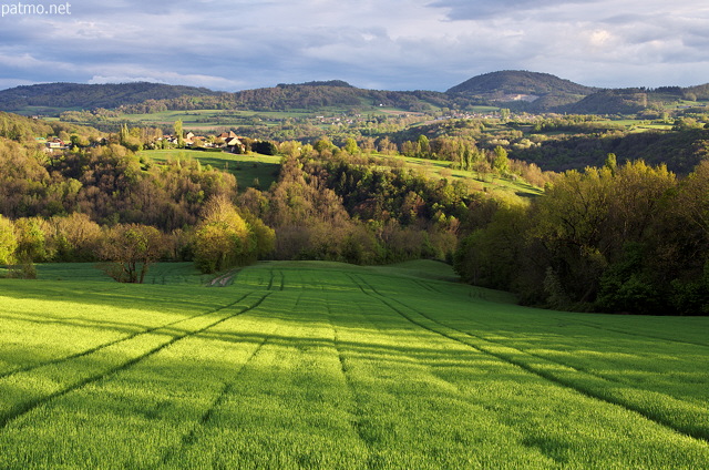 Image d'ombres et de lumires sur la campagne verdoyante de Haute Savoie