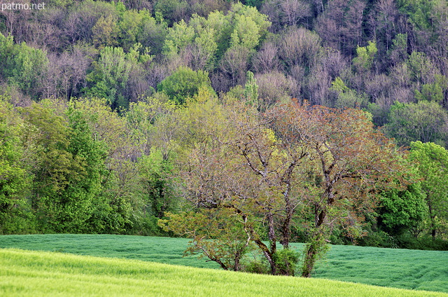 Photo des couleurs du printemps dans la campagne de Chaumont en Haute Savoie
