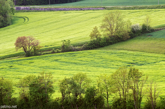 Image d'un paysage rural verdoyant au printemps entre Chaumont et Frangy