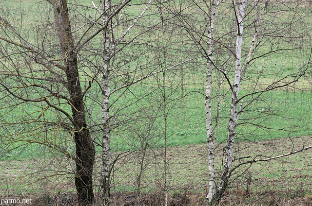 Image of winter colors in Haute Savoie countryside