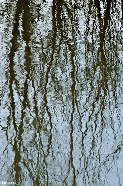 Photo of winter trees reflected on Marlioz pond