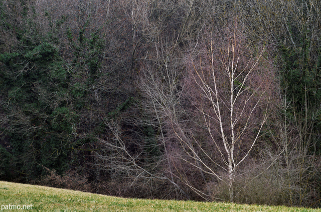 Image des couleurs d'un soir d'hiver dans la campagne autour de Marlioz