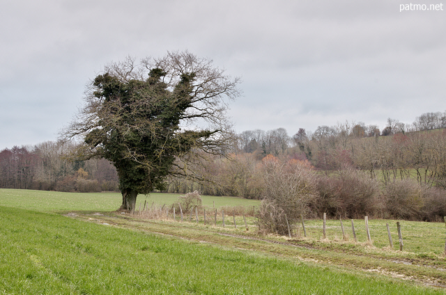 Picture of a winter day in the french rural landscape around Minzier