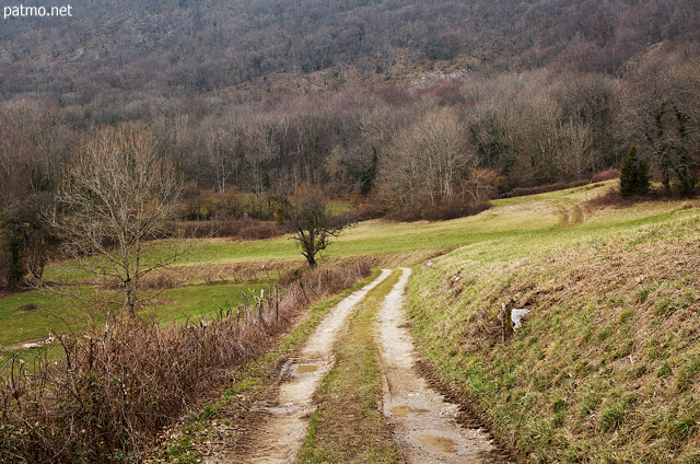 Photographie de l'ambiance d'hiver  travers champs prs de Savigny en Haute Savoie