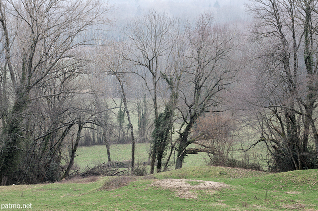 Photo of a winter day in  the french countryside near Savigny