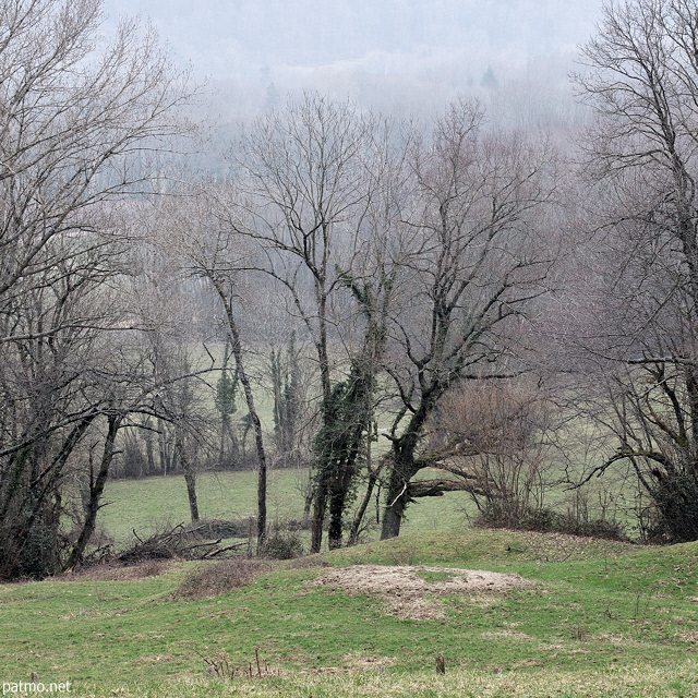 Image d'arbres en hiver à Savigny Haute Savoie