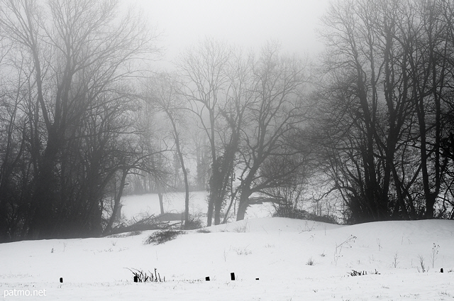 Image d'une ambiance hivernale avec neige et brouillard dans la campagne autour de Savigny