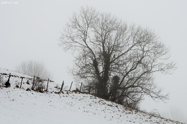 Winter rural landscape in the french countryside near Savigny