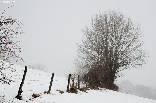Image of a winter morning with snow and mist in the french countryside