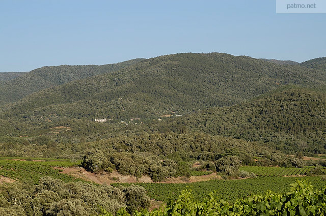 vignes fort maures