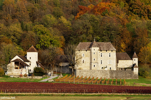 Photo du Château de Mécoras entouré de vignes à Ruffieux en Chautagne