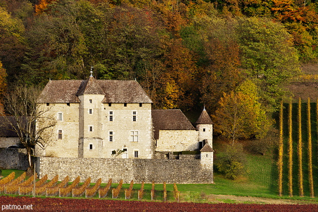 Photographie de l'ambiance d'automne autour du Château de Mécoras dans le vignoble de Savoie