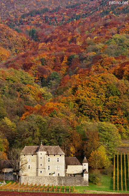 Image de l'automne sur les pentes du Clergeon autour du Château de Mécoras