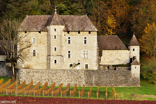 Picture of Mecoras castle in Ruffieux