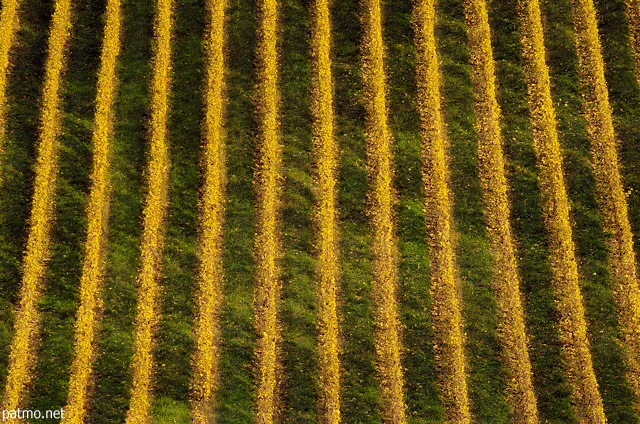 Picture of the last sunlight in Chautagne