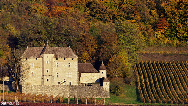 Image of Mecoras castle surrounded with autumn vineyard in France