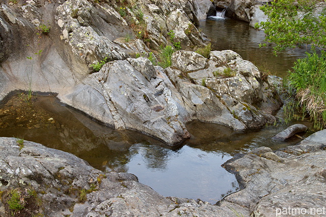 Image des berges de la Verne au printemps