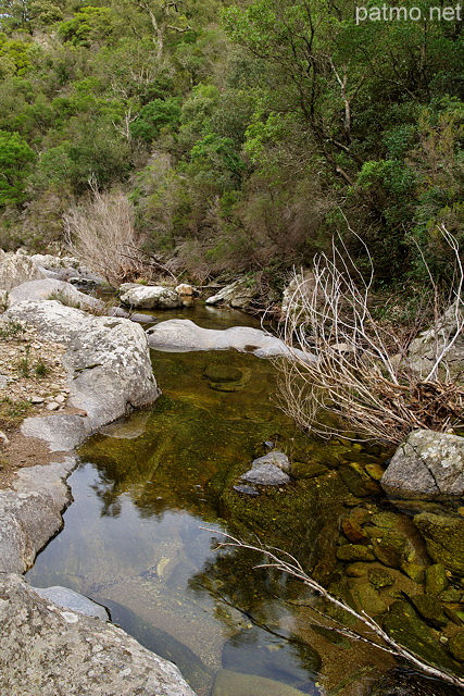 Image de la rivire de la Verne dans le Massif des Maures