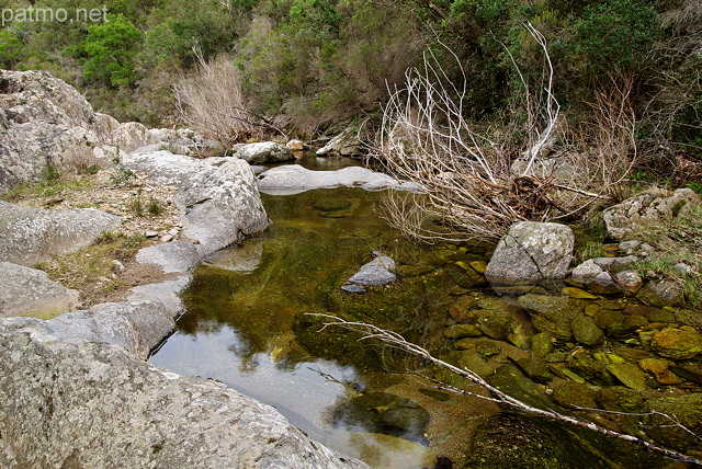 Photographie de la rivire de la Verne dans le Massif des Maures