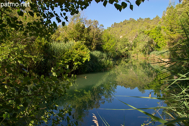 Photographie de la rivire de l'Argens dans le Vallon Sourn