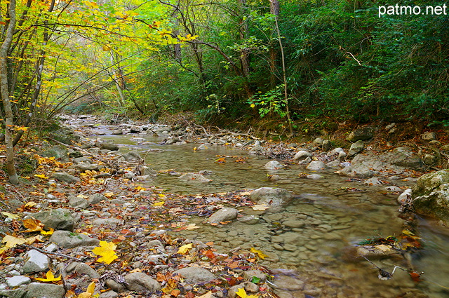 Image d'une rivire en sous bois dans la valle d'Agnielles - Hautes Alpes