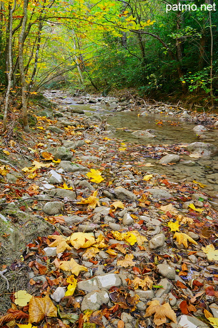 Photographie de la rivire d'Agnielles dans les sous bois - Hautes Alpes