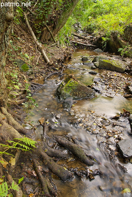 Photo du ruisseau du vallon de Vaubarnier dans le Massif des Maures