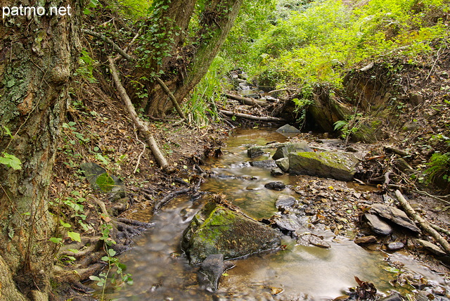 Photographie du ruisseau du vallon de Vaubarnier dans le Massif des Maures