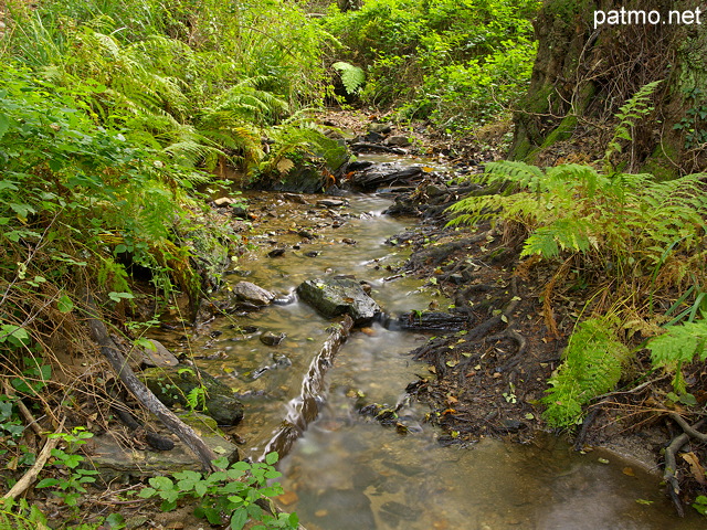 Photo du ruisseau de Vaubarnier dans le Massif des Maures