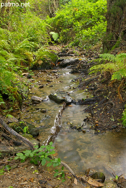 Image du ruisseau de Vaubarnier dans le Massif des Maures