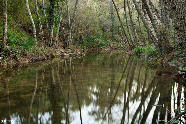 Photo d'une rivire en sous bois au bord du Lac des Escarcets dans la Plaine des Maures