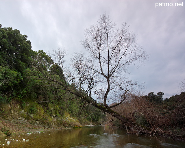 Photographie de la rivire du Tagnone en hiver - Haute Corse