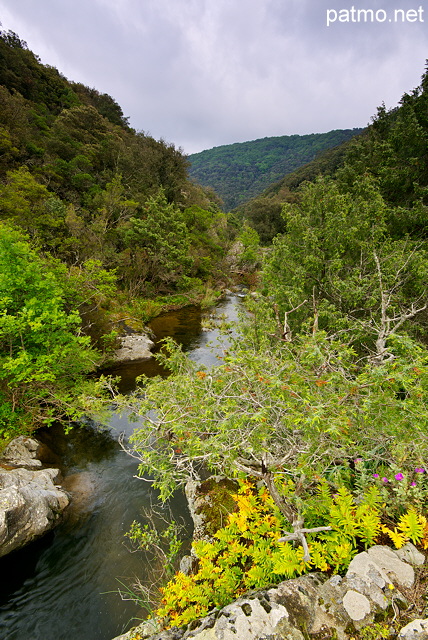 Photo de la rivire de la Verne dans les collines du Massif des Maures