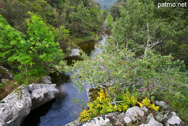 Photographie de la rivière de la Verne dans la forêt du Massif des Maures