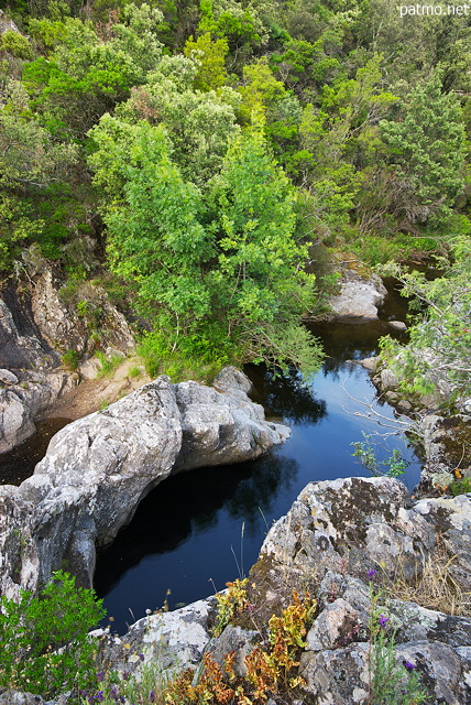 Photo de la rivire de la Verne au printemps dans le Massif des Maures