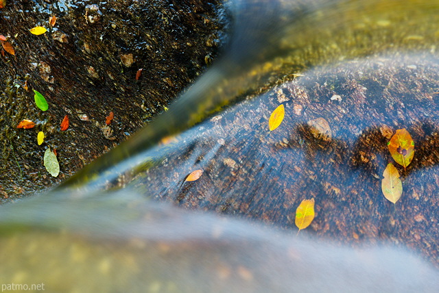 Photographie de feuilles sur des rochers dans la rivire de la Verne - Massif des Maures