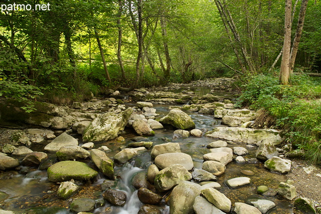 Photographie du torrent du Fornant prs de Chaumont en Haute Savoie