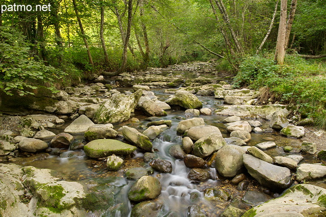 Photo du torrent du Fornant dans les sous bois autour de Chaumont en Haute Savoie