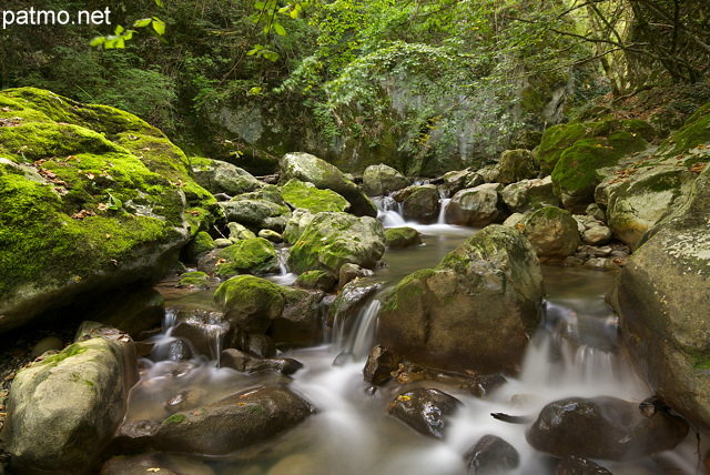 Image de petites cascades dans le torrent du Fornant en Haute Savoie