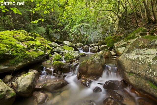 Image of water cascading underwood in Fornant stream