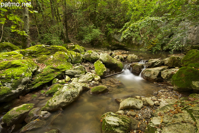 Photographie du torrent du Fornant courant en sous bois