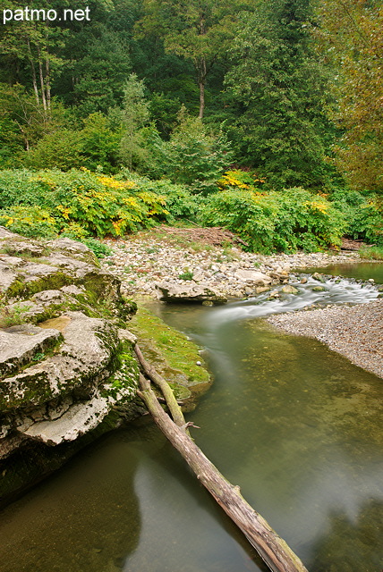 Photographie des berges de la rivire des Usses au dbut de l'automne