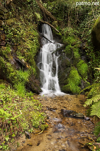 Photographie d'une petite cascade de printemps dans un ruisseau du Parc National des Cvennes